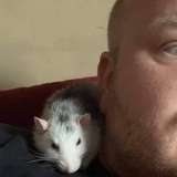 fordeking from onlyfans